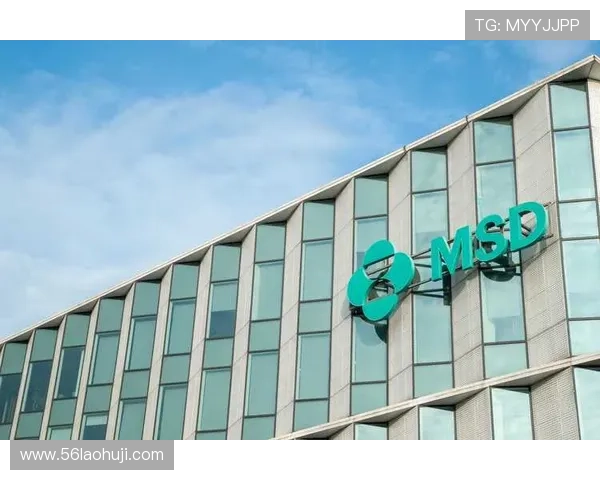 探索z6尊龙平台：全方位解析与使用指南